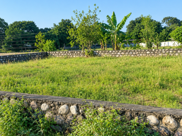 Plot for Sale in Kaptanganj
